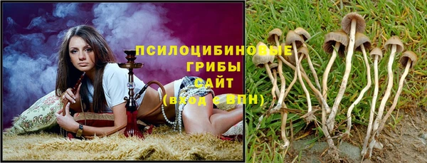 круглые Алексеевка